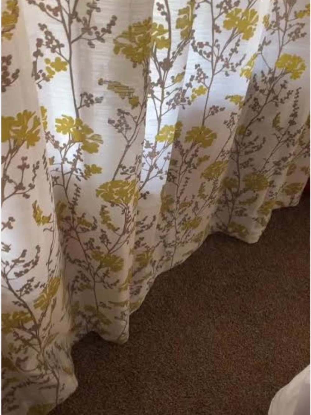 Botanical Set of 4 Semi Sheer Grommet Curtain Panel in Olive and Gray